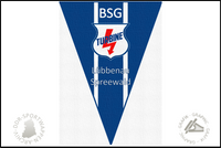 BSG Turbine L&uuml;bbenau Wimpel