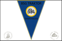 BSG Traktor Damshagen Wimpel